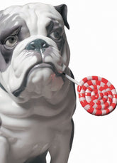 Bulldog With Lollipop Dog Figurine
